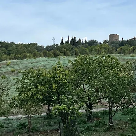 Apartment Le Querciole In Val D'orcia *