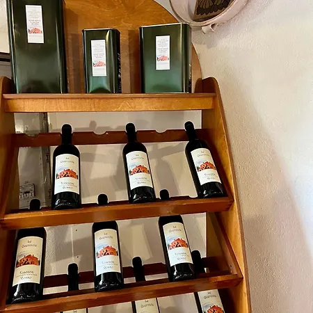 Le Querciole In Val D'orcia Apartment Bagno Vignoni