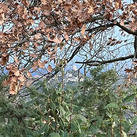 Le Querciole In Val D'orcia * Bagno Vignoni