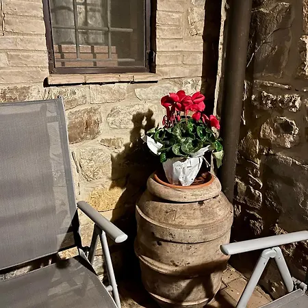 Lejlighed Le Querciole In Val D'orcia