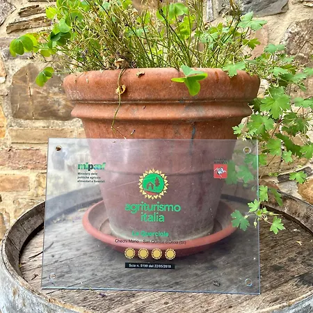 Apartment Le Querciole In Val D'orcia