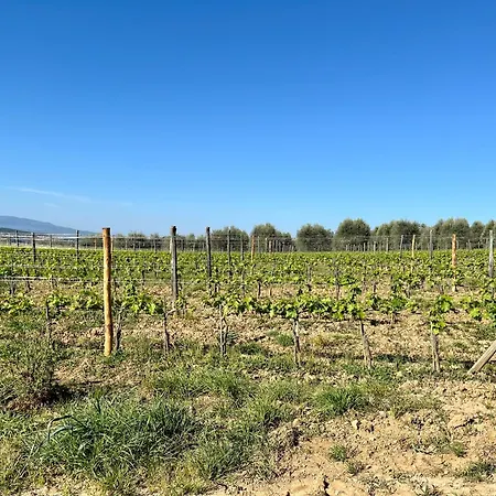 Apartment Le Querciole In Val D'orcia *